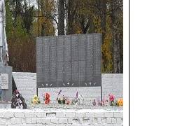 Воинское кладбище, братская могила, с. Яжелбицы
