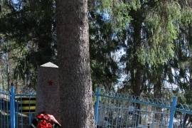 Воинский участок кладбища, братская могила ,           д.Моисеевичи