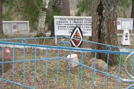 Воинское захоронение – одиночная могила. Новгородская область, Крестецкий район, д. Добрости