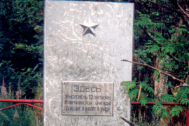 Братская могила советских партизан