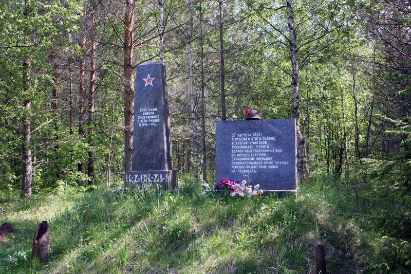 Памятник 3-й Синявинской операции