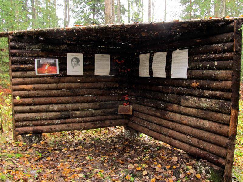 Место, где в бою с фашистами погибла Герой Советского Союза А. В. Петрова