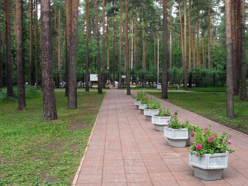 Братское кладбище советских летчиков, погибших в Великую Отечественную войну