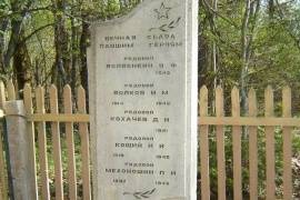 Воинское кладбище, братская могила. д. Горушки
