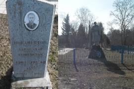 Братская могила, индивидуальная могила, д. Михайлов Погост
