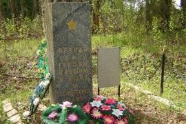 Воинское кладбище, братская могила. д. Рябиновка