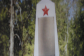 Братская могила советских воинов, д. Пелюшня