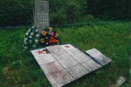 Кладбище советских воинов, 1941-1944 гг., Чудовский район, д. Вяжищи