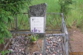 Индивидуальная  могила, д. Торошино, ул. Северная
