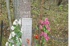 Воинское кладбище, братская могила. д. Долгие Горы