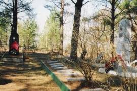 Воинское захоронение на гражданском кладбище 1,5 км от д. Борки