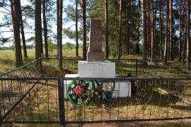 Братская могила советских воинов 1941-1943 гг., д. Подсосонье