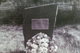 Одиночная могила вне кладбища, находящаяся в ограде братской могилы захоронения №6 Республика Карелия, Прионежский район поселок Ладва-Ветка