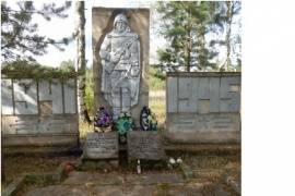 Воинское кладбище,  деревня Широни