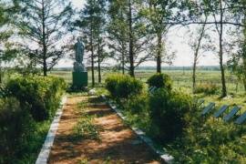 Кладбище советских воинов, 1941-1944 гг., Чудовский район, с. Успенское