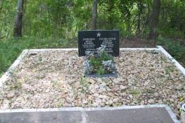 Воинское кладбище (2 братские могилы), д. Темери.