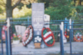 Братское кладбище советских воинов, умерших от ран в госпиталях, 1941-1945 гг. с.Левоча