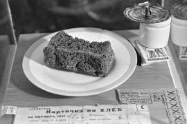 Смольный создаст сайт о блокадниках