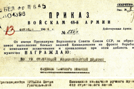 В Псковской области вручены еще 80 копий наградных листов потомкам героев