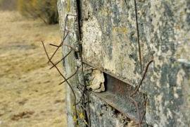 Сергей Митин: мемориал «Линия обороны» находится в удручающем состоянии