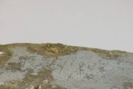 Поисковики надеются установить личность солдата