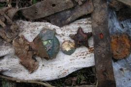 В Ленобласть приехали более 700 поисковиков России и иностранных государств