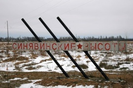 Памятники на синявинских высотах отремонтируют после Дня Победы