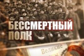 Вологжанка занесла в "Бессмертный полк" более десятка историй участников Великой Отечественной войны