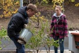 В Аллее Славы высадили «Лес Победы»