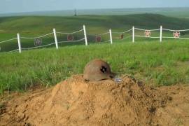 Дрозденко попросил районных руководителей заняться братскими захоронениями