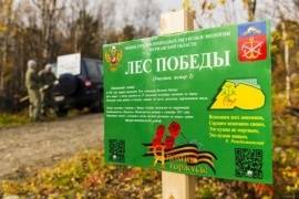 Всех желающих приглашают проголосовать за проект «Лес Победы» на территории Мурманской области