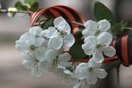 Выставка "Весна Победы" откроется в Великих Луках