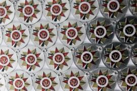 В Петрозаводске вручат медали, посвященные 70-летию Великой Победы