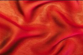 Имена 400 череповецких участников войны внесут на Знамя Победы Вологодчины