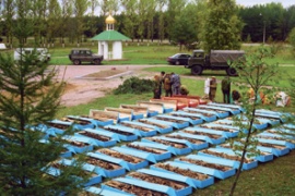 Вернуть имена и восстановить память