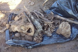 Останки партизан из диверсионной группы времен ВОВ обнаружены при производстве демаркационных работ на линии границы с Латвией