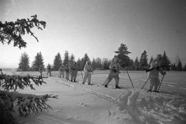 В Архангельске перезахоронят останки 145 бойцов советско-финской войны