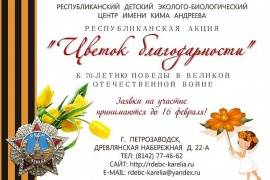 Школьники украсят Карелию цветами в честь 70-летия Победы