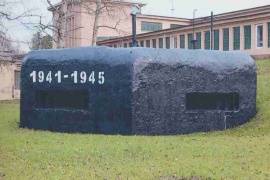 ДОТы рубежа «Ижора» получили статус памятника регионального значения