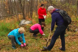 На мурманской "Серебрянке" высадили "Лес Победы"