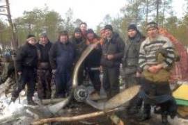 Памятник летчикам, погибшим во время войны, установят вологодские поисковики