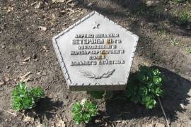 К 9 мая в каждом районе появятся аллеи из 70 елей