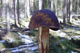 Доступ к 49 братским воинским захоронениям на территории Новгородской области ограничен